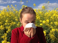 Přírodní cestou proti pylové alergii
